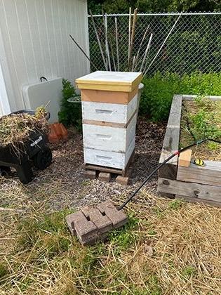 One of the four RIC beehives