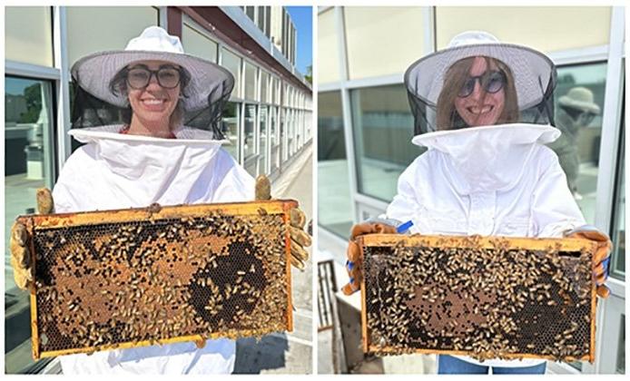 RIC students in beekeeper gear helping with the bees